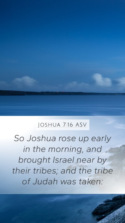 Joshua 7:16 ASV Bible Verse Image