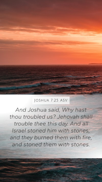 Joshua 7:25 ASV Bible Verse Image