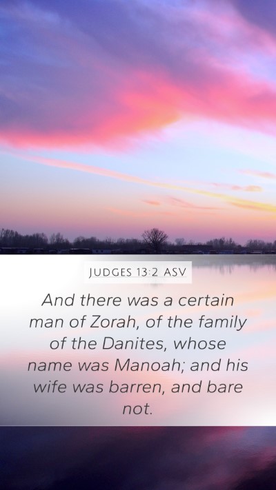 Judges 13:2 ASV Bible Verse Image