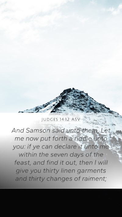 Judges 14:12 ASV Bible Verse Image