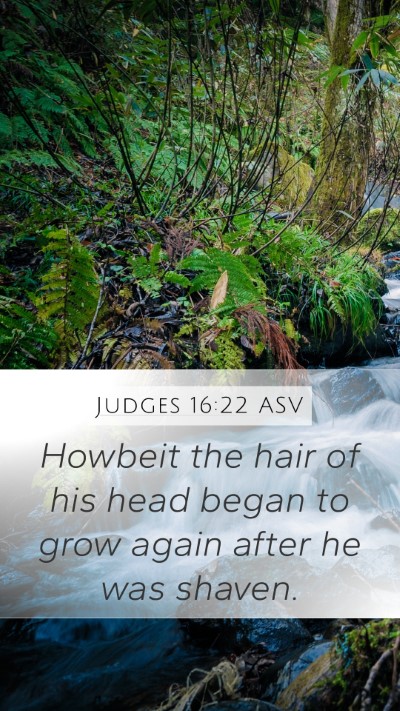 Judges 16:22 ASV Bible Verse Image