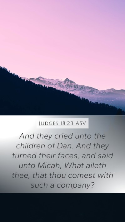 Judges 18:23 ASV Bible Verse Image
