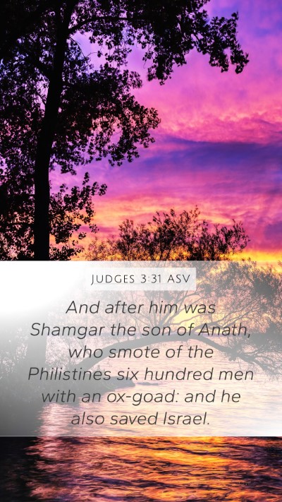 Judges 3:31 ASV Bible Verse Image