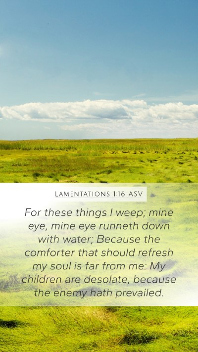 Lamentations 1:16 ASV Bible Verse Image