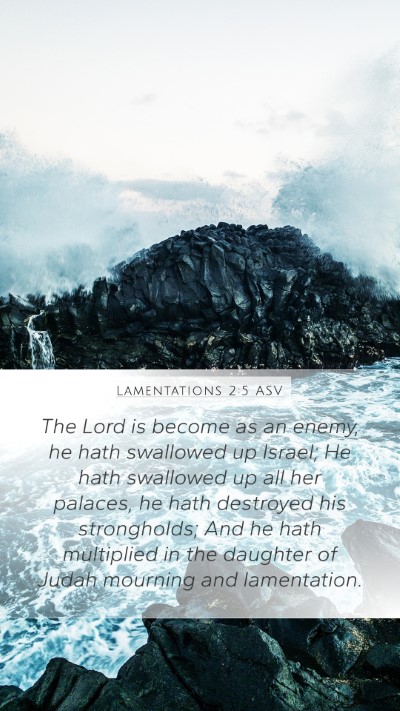 Lamentations 2:5 ASV Bible Verse Image