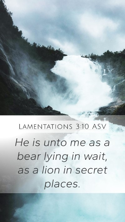 Lamentations 3:10 ASV Bible Verse Image