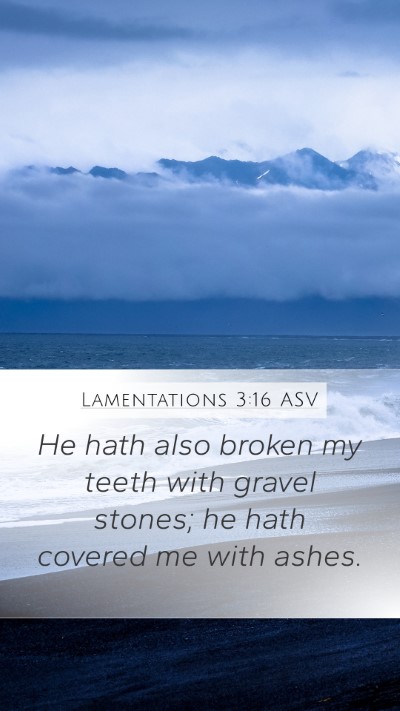 Lamentations 3:16 ASV Mobile Phone Wallpaper - He hath also broken my teeth with gravel stones; - Mobile Bible Verse Wallpaper