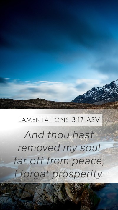 Lamentations 3:17 ASV Mobile Phone Wallpaper - And thou hast removed my soul far off from peace; - Mobile Bible Verse Wallpaper