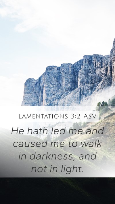 Lamentations 3:2 ASV Bible Verse Image