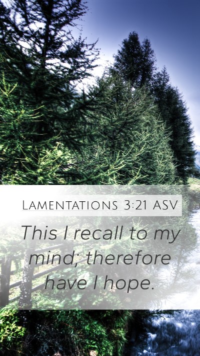 Lamentations 3:21 ASV Bible Verse Image