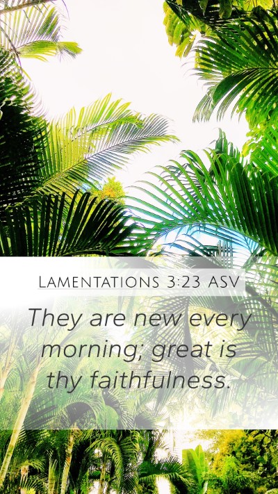Lamentations 3:23 ASV Bible Verse Image