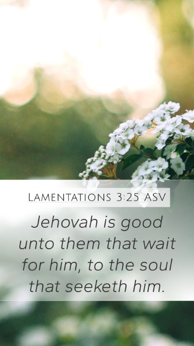Lamentations 3:25 ASV Bible Verse Image