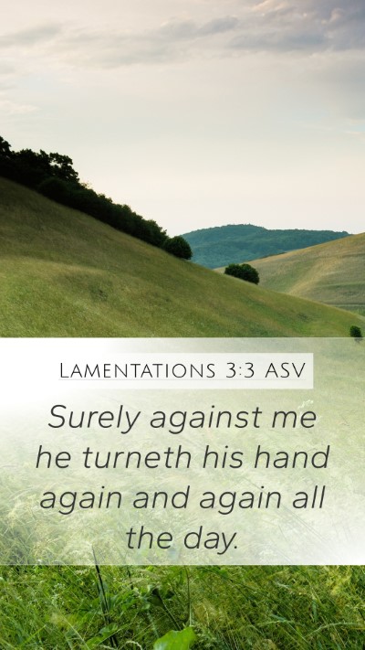 Lamentations 3:3 ASV Mobile Phone Wallpaper - Surely against me he turneth his hand again and - Mobile Bible Verse Wallpaper