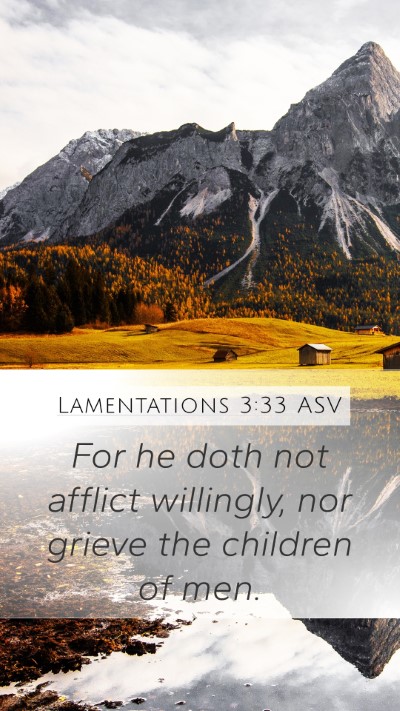 Lamentations 3:33 ASV Mobile Phone Wallpaper - For he doth not afflict willingly, nor grieve the - Mobile Bible Verse Wallpaper