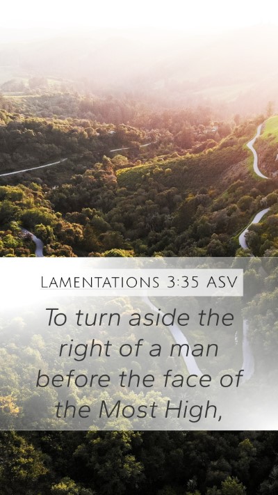 Lamentations 3:35 ASV Bible Verse Image