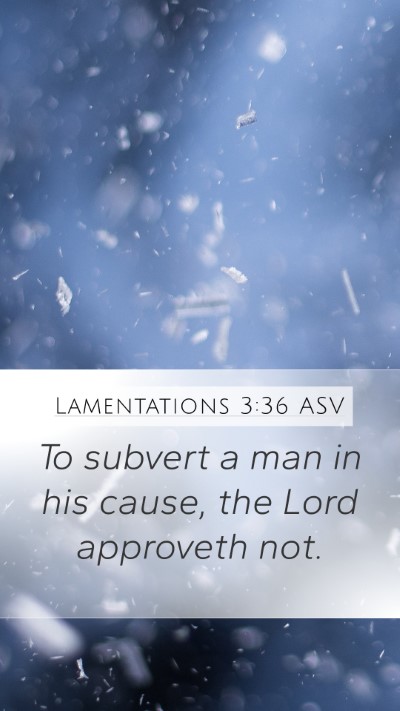 Lamentations 3:36 ASV Mobile Phone Wallpaper - To subvert a man in his cause, the Lord approveth - Mobile Bible Verse Wallpaper