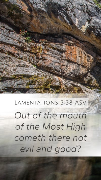 Lamentations 3:38 ASV Mobile Phone Wallpaper - Out of the mouth of the Most High cometh there - Mobile Bible Verse Wallpaper