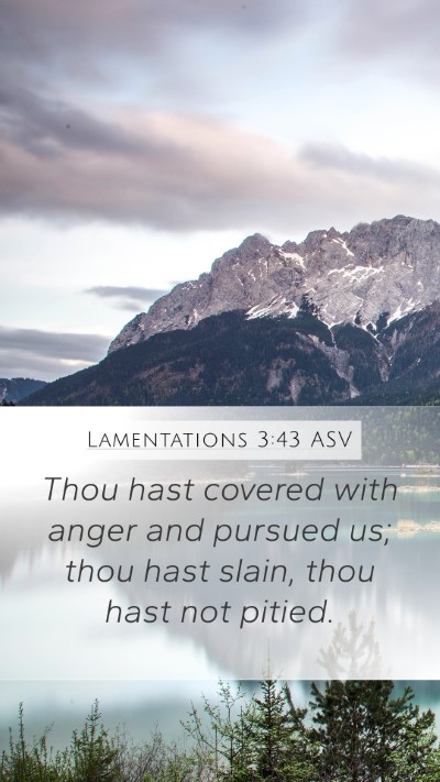 Lamentations 3:43 ASV Bible Verse Image