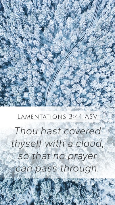 Lamentations 3:44 ASV Bible Verse Image