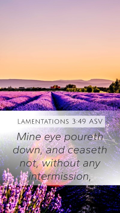Lamentations 3:49 ASV Mobile Phone Wallpaper - Mine eye poureth down, and ceaseth not, without - Mobile Bible Verse Wallpaper