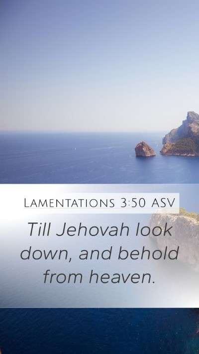 Lamentations 3:50 ASV Bible Verse Image