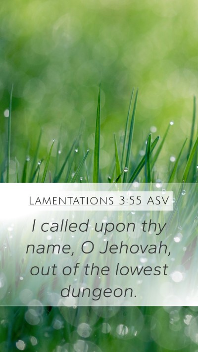 Lamentations 3:55 ASV Bible Verse Image
