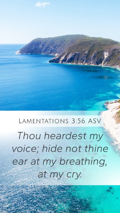 Lamentations 3:56 ASV Mobile Phone Wallpaper - Thou heardest my voice; hide not thine ear at my - Mobile Bible Verse Wallpaper