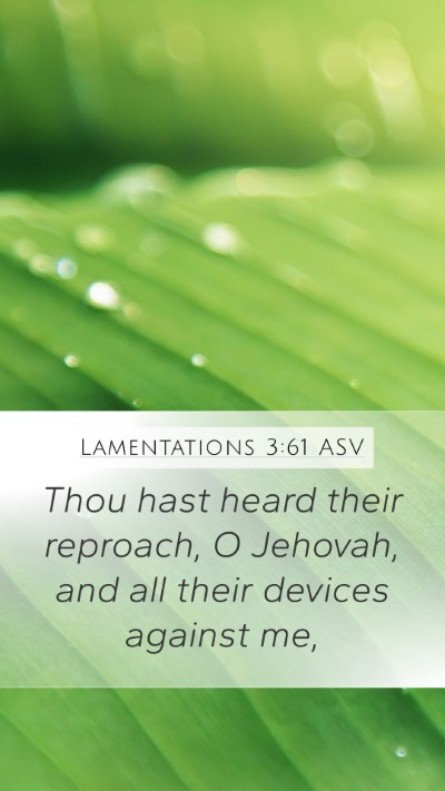 Lamentations 3:61 ASV Bible Verse Image