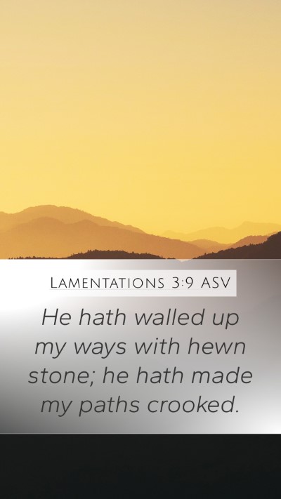 Lamentations 3:9 ASV Bible Verse Image