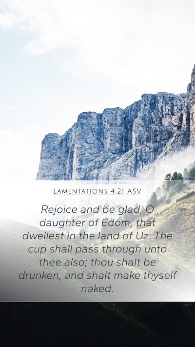 Lamentations 4:21 ASV Bible Verse Image