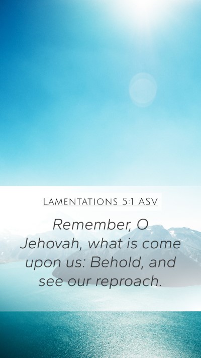 Lamentations 5:1 ASV Bible Verse Image