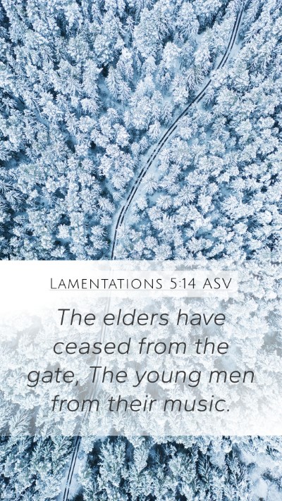 Lamentations 5:14 ASV Bible Verse Image