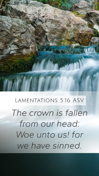 Lamentations 5:16 ASV Bible Verse Image