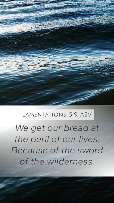Lamentations 5:9 ASV Bible Verse Image