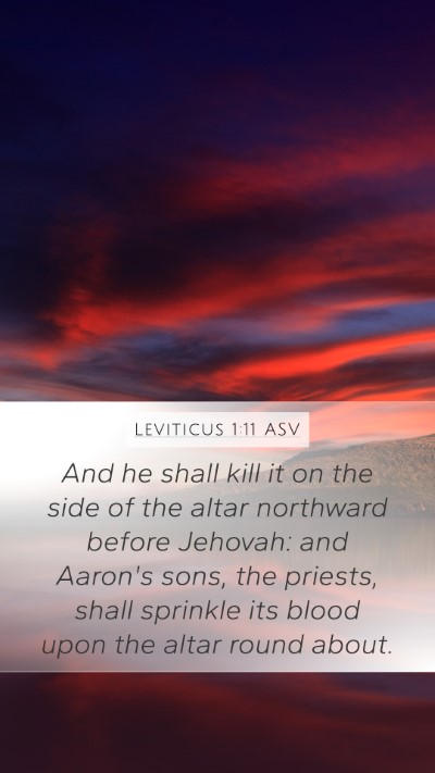 Leviticus 1:11 ASV Bible Verse Image