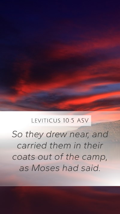 Leviticus 10:5 ASV Bible Verse Image