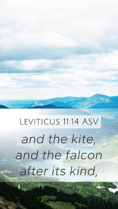 Leviticus 11:14 ASV Mobile Phone Wallpaper - and the kite, and the falcon after its - Mobile Bible Verse Wallpaper