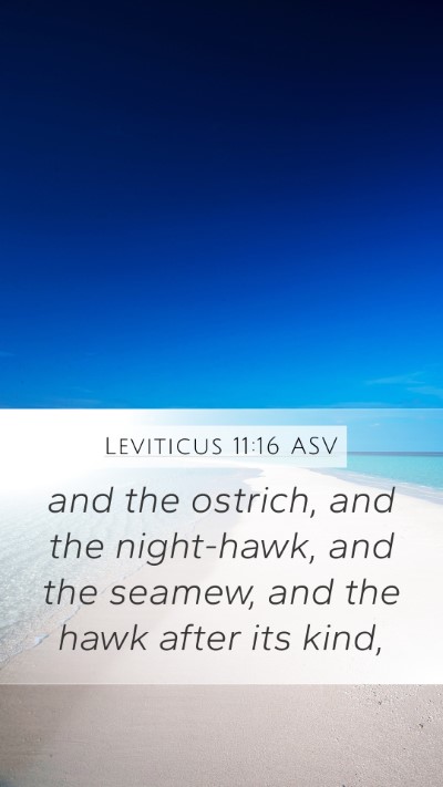 Leviticus 11:16 ASV Mobile Phone Wallpaper - and the ostrich, and the night-hawk, and the - Mobile Bible Verse Wallpaper