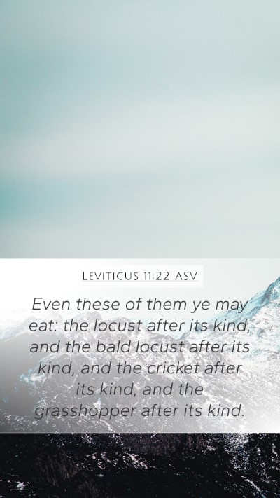 Leviticus 11:22 ASV Bible Verse Image