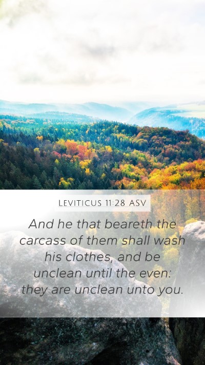 Leviticus 11:28 ASV Bible Verse Image
