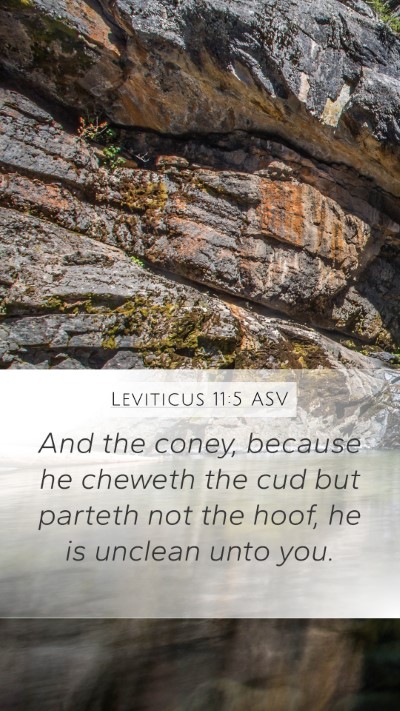 Leviticus 11:5 ASV Bible Verse Image