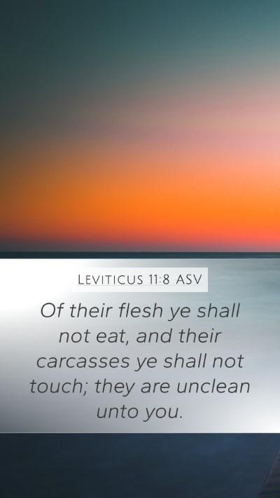 Leviticus 11:8 ASV Bible Verse Image