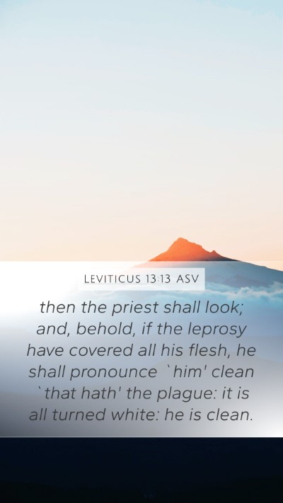 Leviticus 13:13 ASV Mobile Phone Wallpaper - then the priest shall look; and, behold, if the - Mobile Bible Verse Wallpaper