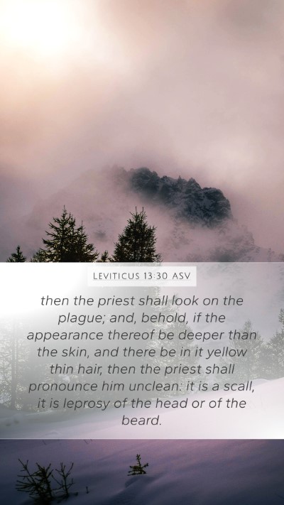 Leviticus 13:30 ASV Bible Verse Image
