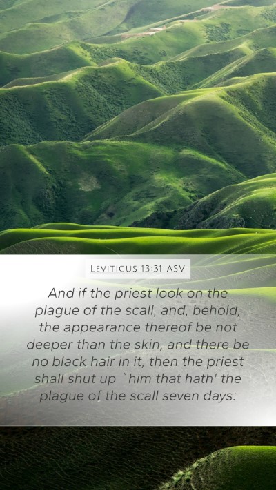 Leviticus 13:31 ASV Mobile Phone Wallpaper - And if the priest look on the plague of the - Mobile Bible Verse Wallpaper