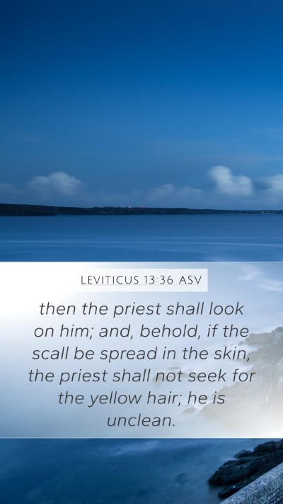 Leviticus 13:36 ASV Bible Verse Image