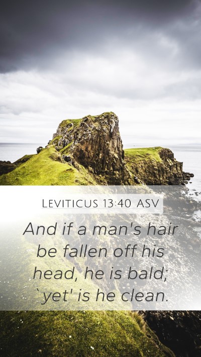 Leviticus 13:40 ASV Mobile Phone Wallpaper - And if a man's hair be fallen off his head, he is - Mobile Bible Verse Wallpaper