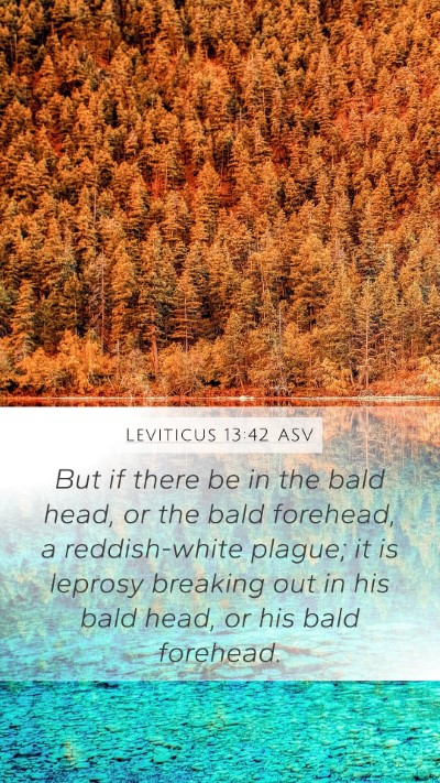 Leviticus 13:42 ASV Mobile Phone Wallpaper - But if there be in the bald head, or the bald - Mobile Bible Verse Wallpaper