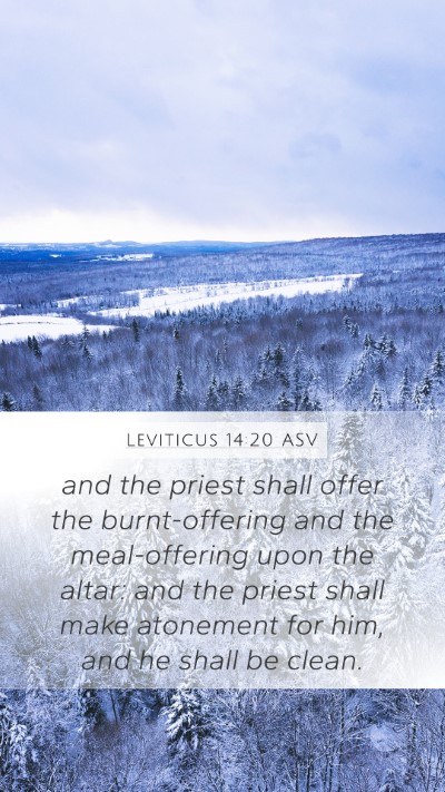Leviticus 14:20 ASV Bible Verse Image