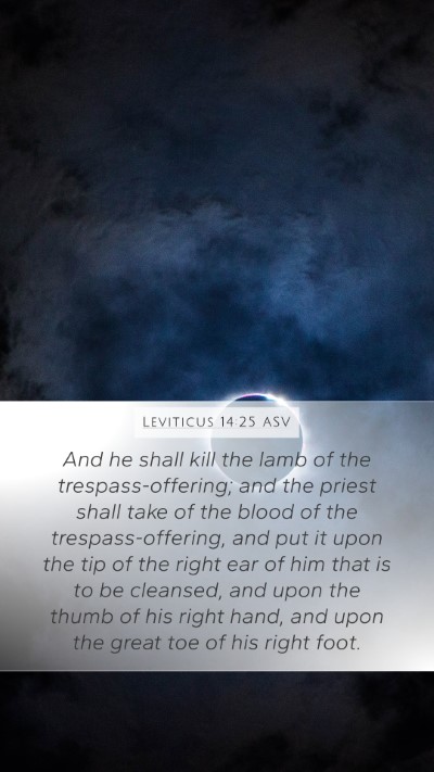 Leviticus 14:25 ASV Mobile Phone Wallpaper - And he shall kill the lamb of the - Mobile Bible Verse Wallpaper